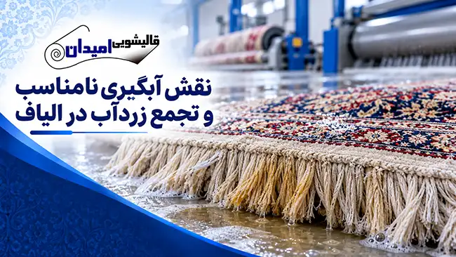 نقش آبگیری نامناسب و تجمع زردآب در الیاف